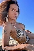 Verona Trans Escort Izabella Rabanne 388 7905645 foto 5