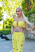 Ibiza Trans Escort Nina La Divina 0034 617911341 foto 5