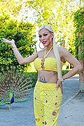 Ibiza Trans Escort Nina La Divina 0034 617911341 foto 4