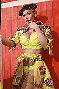 Ibiza Trans Escort Nina La Divina 0034 617911341 foto 5