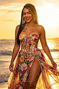 Potenza Trans Escort Mariah Massage 389 8950846 foto 4