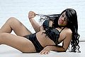 Lodi Trans Escort Dryka 371 1943155 foto 11