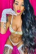 Civitanova Marche Trans Escort Kelly Rios 324 9081788 foto 143