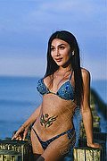 Genova - Cesenatico Trans Escort Miranda Belleza Esotica 353 2044743 foto 7