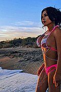Genova - Cesenatico Trans Escort Miranda Belleza Esotica 353 2044743 foto 6