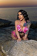 Roma Trans Escort Lissandra 392 4155563 foto 3