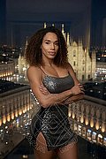 Milano Trans Escort Violet 331 3881628 foto 5
