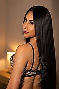 Fabriano Trans Escort Ariell 338 1745029 foto 5