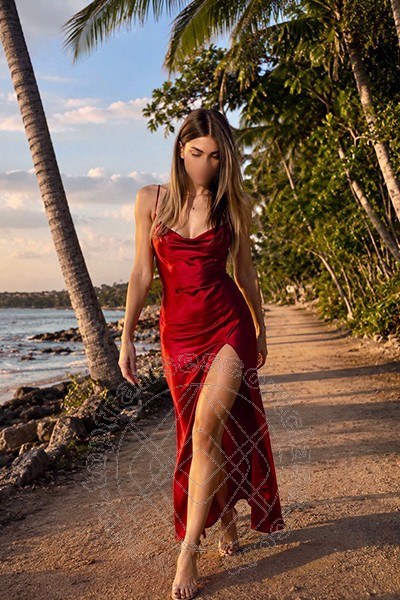 Transex Italiana  MODENA 342 7405556