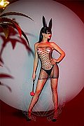 Rimini Trans Escort Vanessa Hilton 324 5846577 foto 83