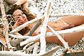 Villa Rosa Trans Escort Giselly  Bella 351 8461907 foto hot 10