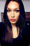 Stoccarda Trans Escort Ts Miss Sulina 0049 1795518811 foto selfie 4