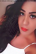 Kyrenia Trans Escort Geisha Vip 0090 5338300938 foto selfie 3