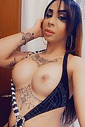 Como Trans Escort Paola Bello 344 4088691 foto selfie 19