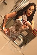 Legnano Trans Escort Nicoly 329 3358987 foto selfie 42