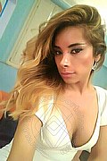 Biella Trans Escort Tracy Tx 331 3234162 foto selfie 6