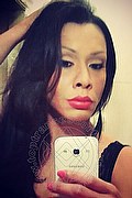 Reggio Emilia Trans Escort Clarissa Ribeiro 380 2662801 foto selfie 35