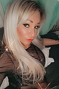 Villorba Trans Escort Pamy La Diva Stellare 324 7819703 foto selfie 411