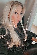 Villorba Trans Escort Pamy La Diva Stellare 324 7819703 foto selfie 407