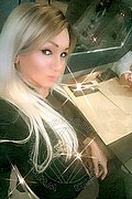 Villorba Trans Escort Pamy La Diva Stellare 324 7819703 foto selfie 398