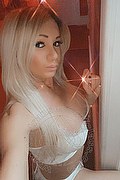 Villorba Trans Escort Pamy La Diva Stellare 324 7819703 foto selfie 356