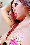 Vicenza Trans Escort Gyselle Pires 327 3386244 foto selfie 51