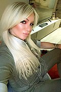 Villorba Trans Escort Pamy La Diva Stellare 324 7819703 foto selfie 316