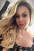 Verona Trans Escort Miss Valentina Bigdick 347 7192685 foto selfie 12