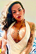 Montemarciano Trans Escort Drielly Riuston Pornostar 329 3405776 foto selfie 3