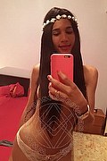 Torino Trans Escort Livia Andrade 350 9273666 foto selfie 24