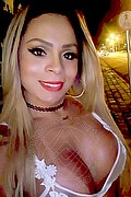 Conegliano Trans Escort Thayla Santos Pornostar Brasiliana 353 3051287 foto selfie 29