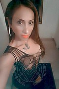 Torino Trans Escort Leyla 338 3398084 foto selfie 40