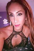 Torino Trans Escort Leyla 338 3398084 foto selfie 37