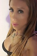 Torino Trans Escort Leyla 338 3398084 foto selfie 17