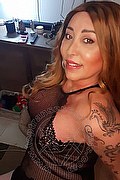 Gallarate Trans Escort Alessandra Sexy 329 1769850 foto selfie 5