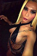 Caserta Trans Escort Cinzia Brasiliana 344 4850435 foto selfie 14