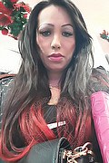 Foggia Trans Escort Melany Lopez 338 1929635 foto selfie 19