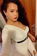 Milano Trans Escort Brunella Ricci 388 8954488 foto selfie 71