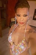 Milano Trans Escort Bruna Canavashi 389 4947922 foto selfie 1