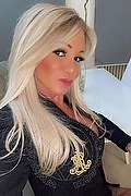 Villorba Trans Escort Pamy La Diva Stellare 324 7819703 foto selfie 187