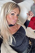 Villorba Trans Escort Pamy La Diva Stellare 324 7819703 foto selfie 185