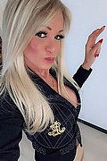 Villorba Trans Escort Pamy La Diva Stellare 324 7819703 foto selfie 164