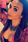 Bergamo Trans Escort Haycka Pornostar 393 1191544 foto selfie 24