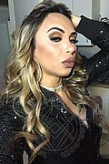 Bergamo Trans Escort Haycka Pornostar 393 1191544 foto selfie 17
