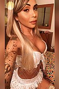 Bergamo Trans Escort Haycka Pornostar 393 1191544 foto selfie 9