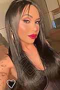 Bergamo Trans Escort Haycka Pornostar 393 1191544 foto selfie 3