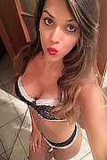 Ginevra Trans Escort Rayca 348 5638746 foto selfie 191