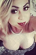 Padova Trans Escort Gabriella Spears 328 7538585 foto selfie 50