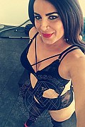 Verona Trans Escort Miranda Prada 350 9773035 foto selfie 8