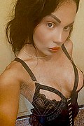 Savona Trans Escort Miss Alessandra 327 7464615 foto selfie 10